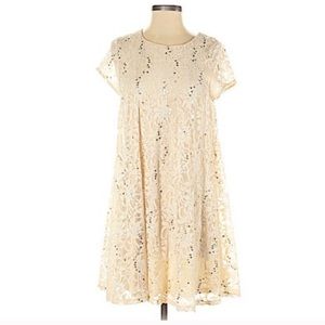 LAST CHANCE!!!  Sparkly Altar’d State Swing Dress